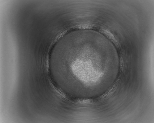 X0000113030202200909171507