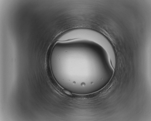 X0000113030203200909171507