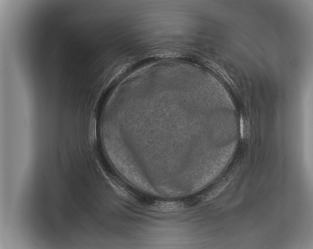 X0000113030205200909171507