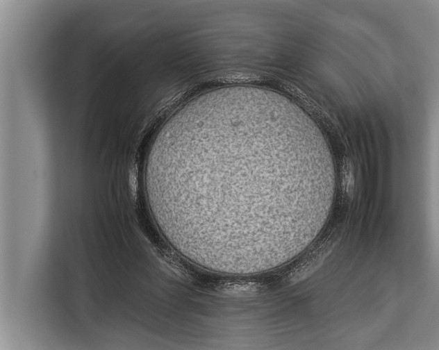 X0000113030206200909171507