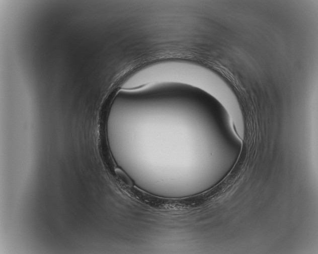 X0000113030207200909171507