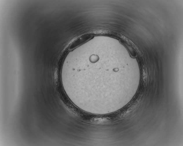 X0000113030208200909171507