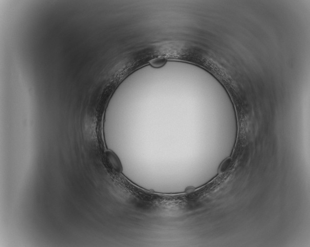 X0000113030209200909171507