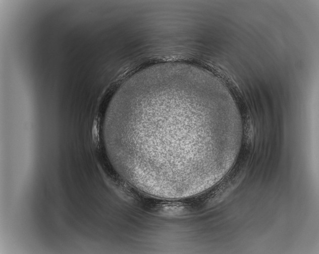 X0000113030214200909171507