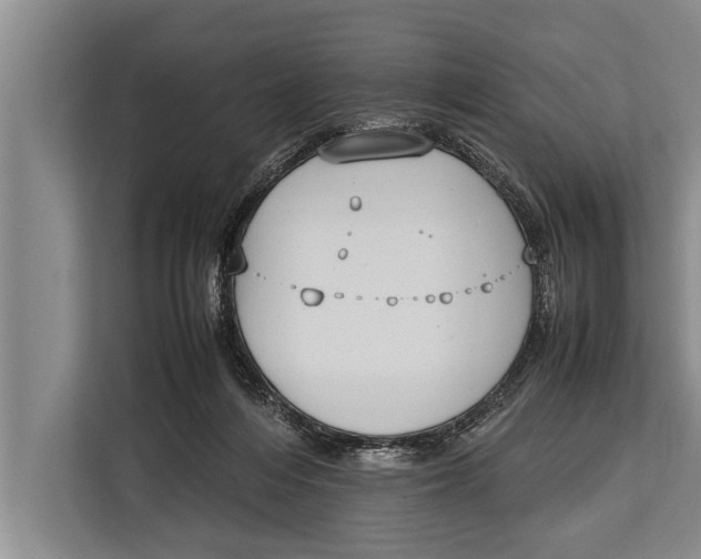 X0000113030216200909171507