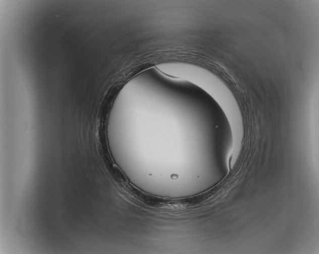 X0000113030217200909171507