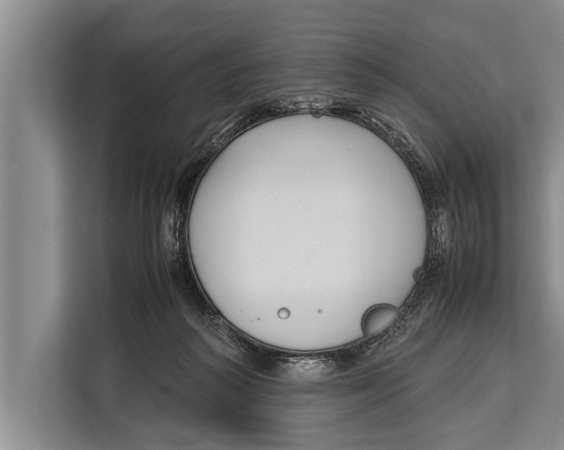 X0000113030218200909171507