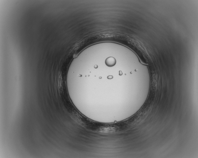 X0000113030220200909171507