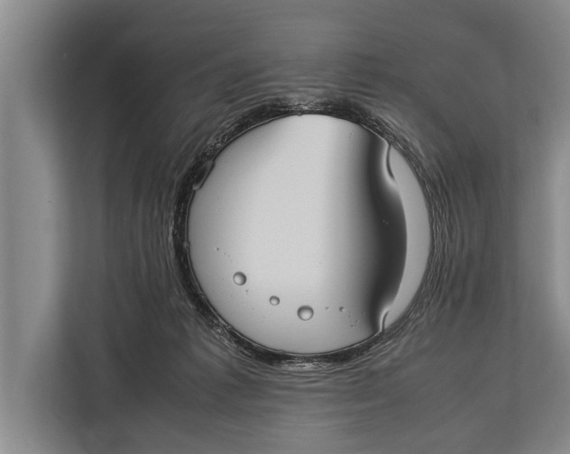 X0000113030221200909171507