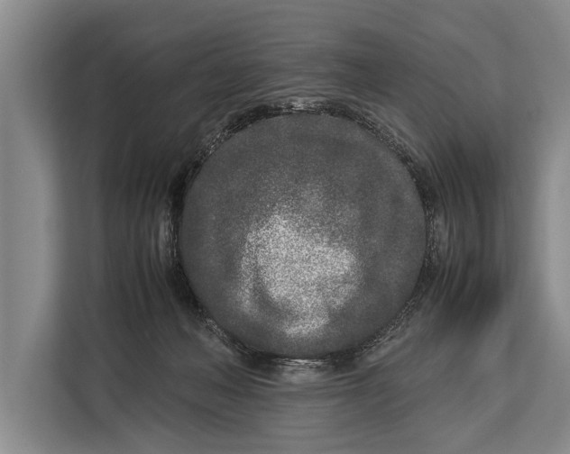 X0000113030222200909171507