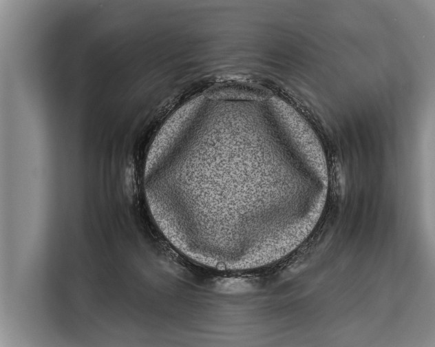 X0000113030224200909171507