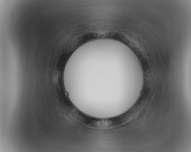 X0000113030225200909171507