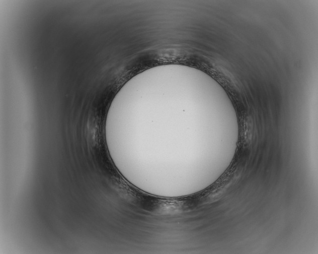 X0000113030226200909171507