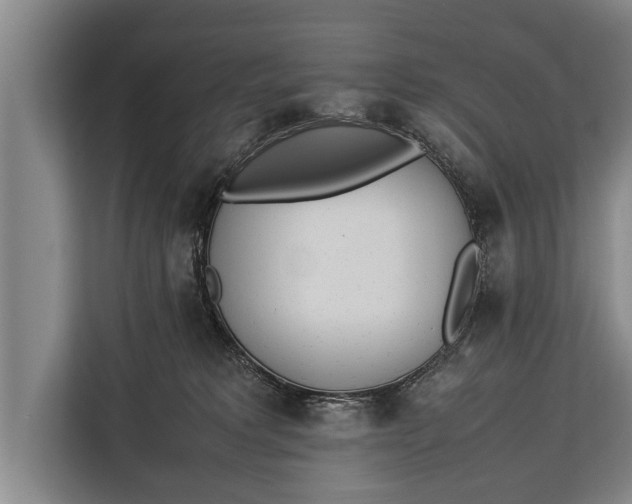 X0000113030229200909171507