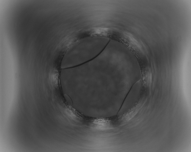 X0000113030231200909171507