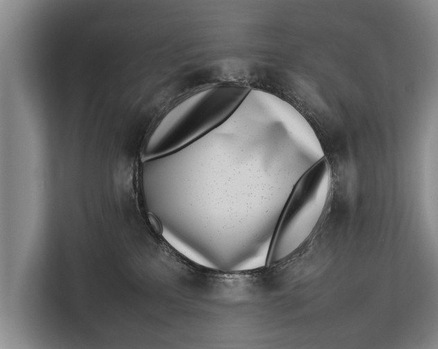 X0000113030233200909171507