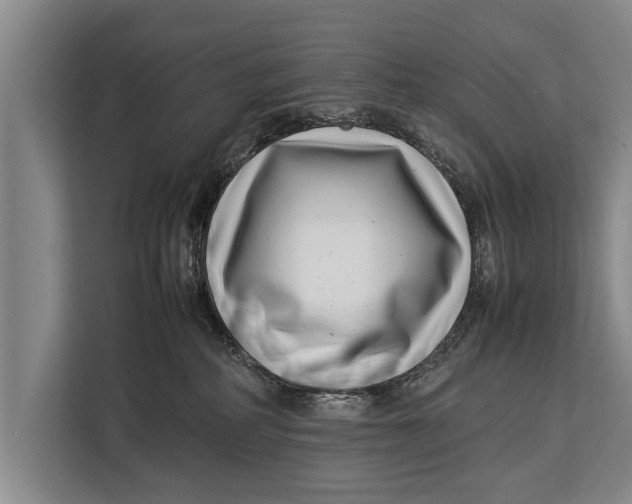 X0000113030234200909171507