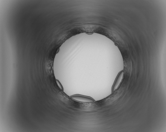 X0000113030237200909171507