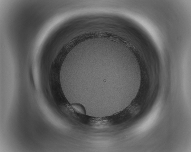 X0000113030239200909171507