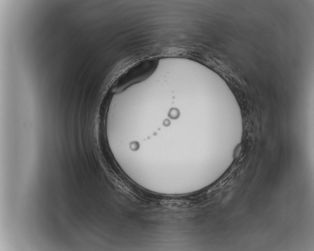 X0000113030242200909171506