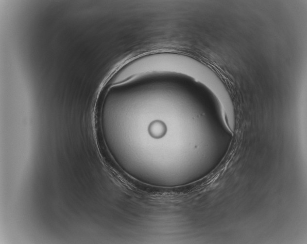 X0000113030244200909171506