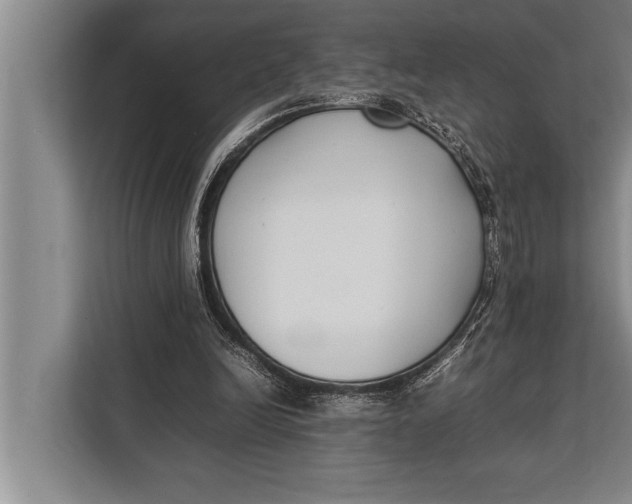 X0000113030246200909171506