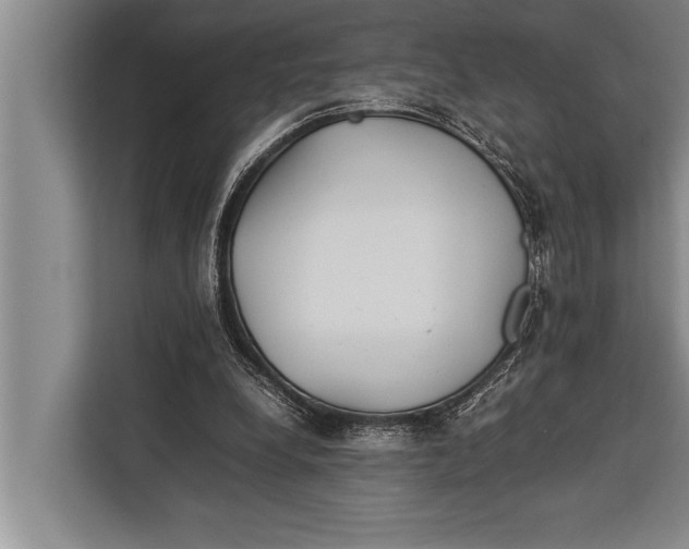 X0000113030248200909171506