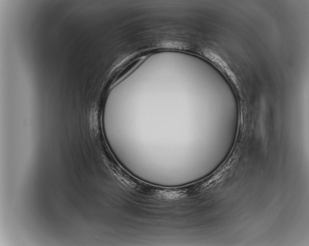 X0000113030249200909171506