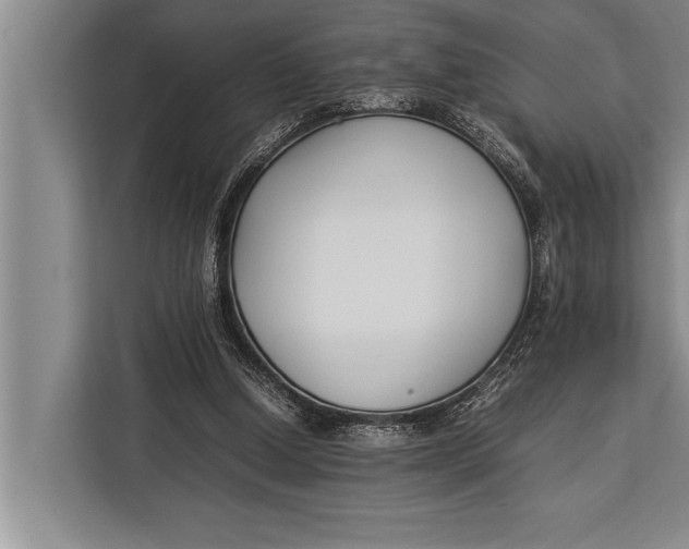 X0000113030250200909171506