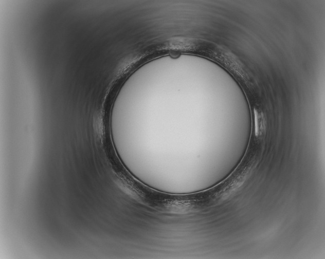 X0000113030252200909171507