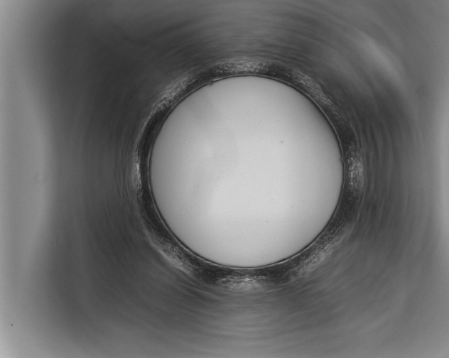 X0000113030254200909171507