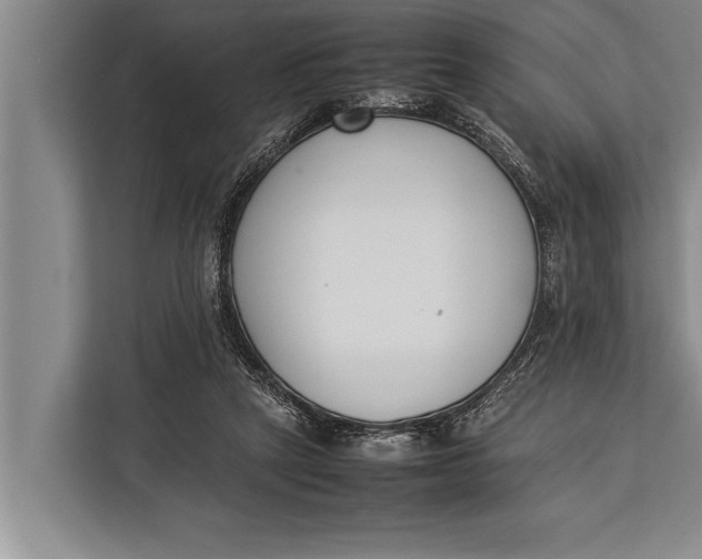 X0000113030257200909171507