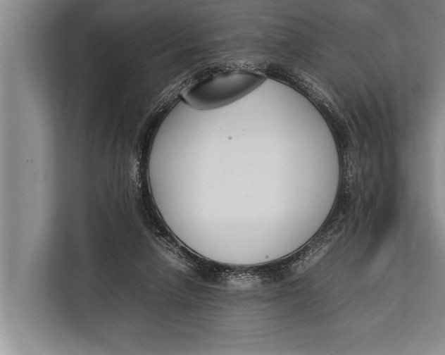 X0000113030258200909171507