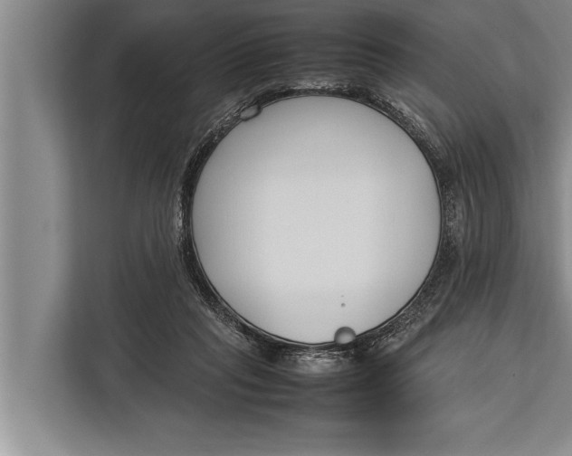 X0000113030261200909171507