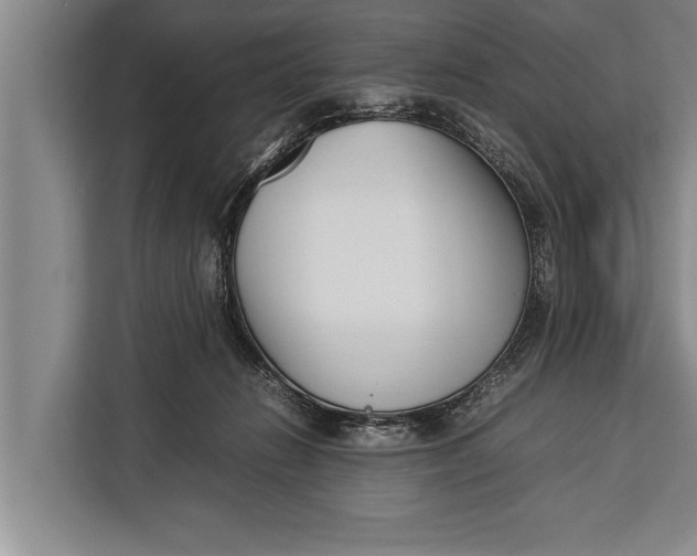 X0000113030270200909171507