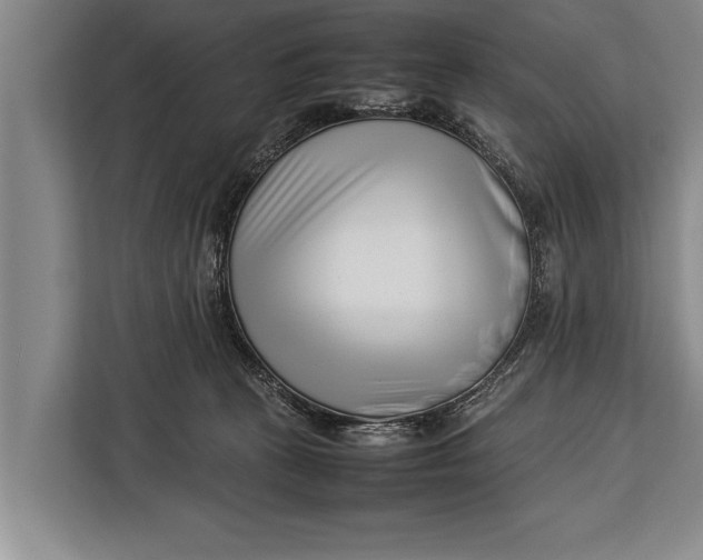 X0000113030273200909171507