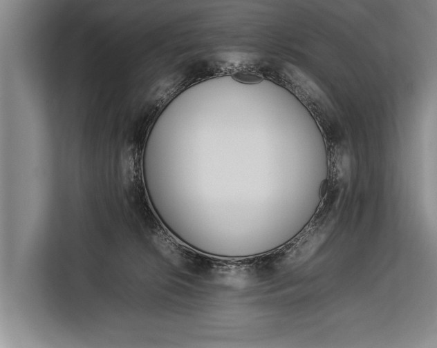 X0000113030276200909171507