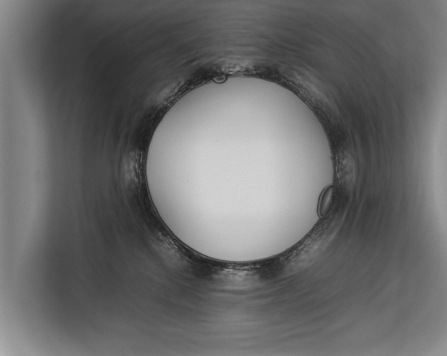 X0000113030280200909171507