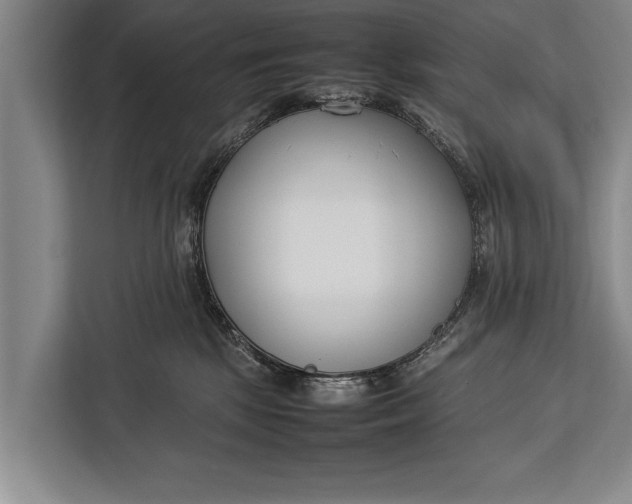 X0000113030281200909171507