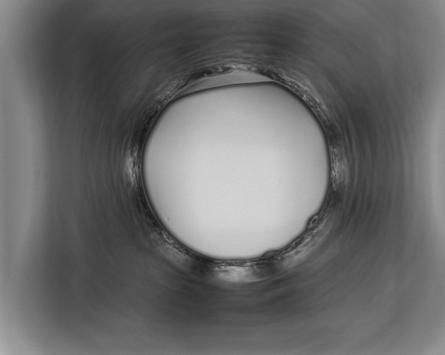 X0000113030285200909171507