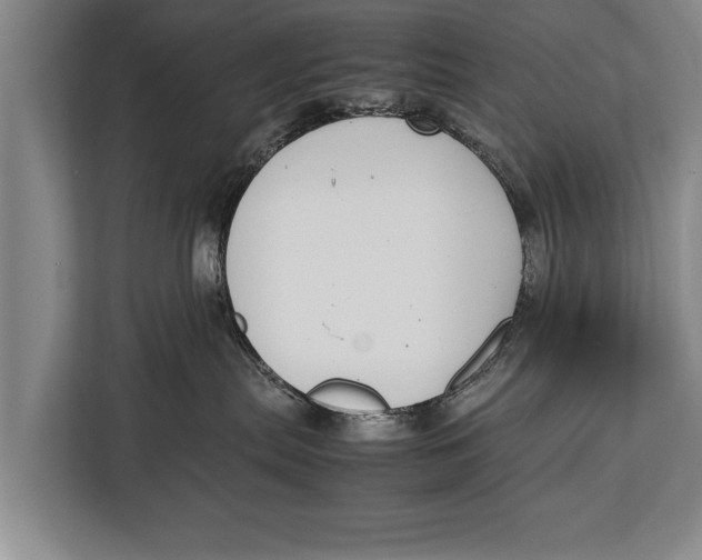 X0000113030287200909171507