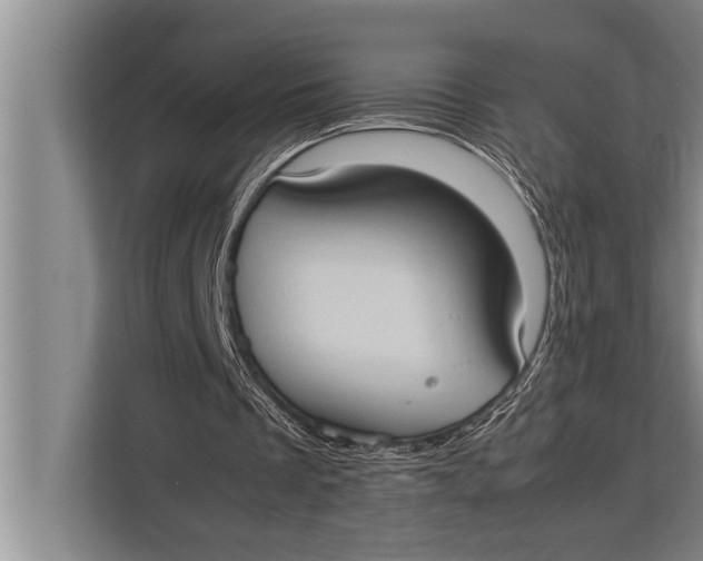 X0000113030289200909171506