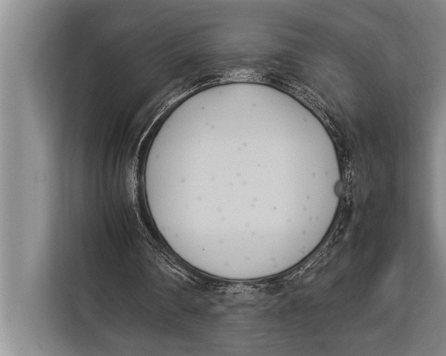 X0000113030290200909171506