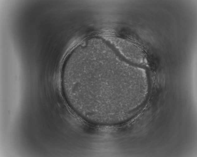 X0000113030293200909171506