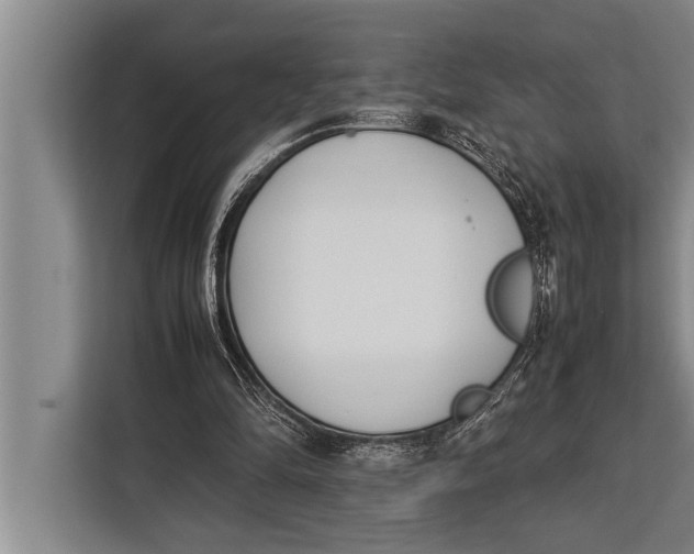 X0000113030294200909171506