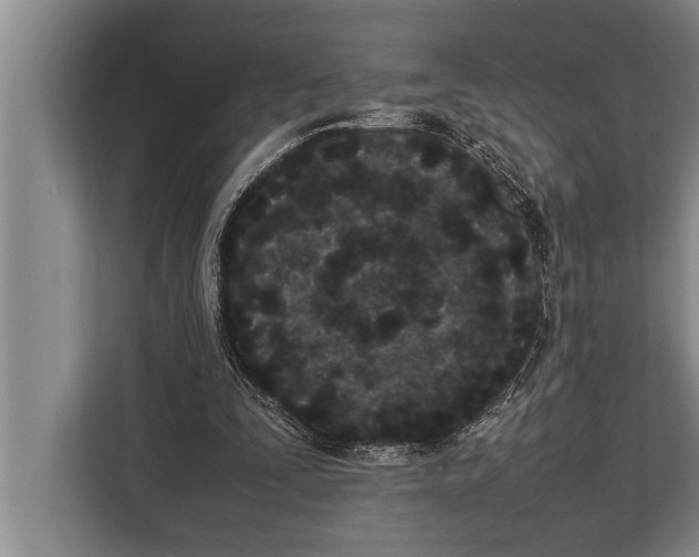 X0000113030295200909171506