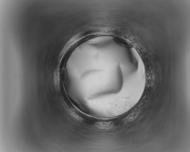 X0000113030296200909171506