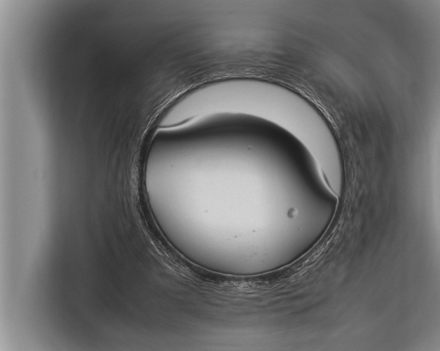 X0000113030297200909171506