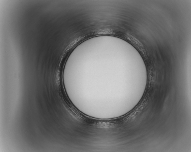 X0000113030298200909171506