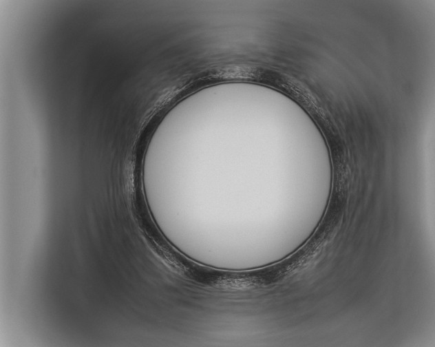 X0000113030299200909171506